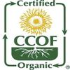McCabe Organic Barley Tea - Rich with Fiber & Minerals | USDA and CCOF Certified Organic Tea | Product of USA | 1.5 Lbs view 4