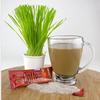 Bio Coffee - NEW! - First Organic Instant Non-dairy Alkaline Coffee (50 Sachet Bag) view 3