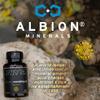 15mg Zinc Glycinate from Albion 6 Essential Trace Bisglycinate Minerals, Manganese, Boron, Chromium, Selenium, Molybdenum Supplement, 90 Plant-Based Vegan Capsules view 2