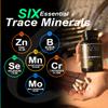 15mg Zinc Glycinate from Albion 6 Essential Trace Bisglycinate Minerals, Manganese, Boron, Chromium, Selenium, Molybdenum Supplement, 90 Plant-Based Vegan Capsules view 3