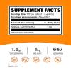 BulkSupplements.com Acetyl L-Carnitine Powder - as ALCAR HCl, Carnitine Supplement - Gluten Free, 1.5g per Serving, 1kg (2.2 lbs) (Pack of 1) view 2