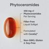 Phytoceramides 350mg per softgel - Plant Derived Ceramides for Healthy Skin and Hydration - Non GMO with No Fillers or Synthetic Vitamins - 30 Liquid softgels view 2