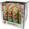 Caramel Cob Soft Caramel Popcorn  16 Individually Wrapped 2.5 oz Bars  Gluten-Free, Peanut & Tree Nut-Free  Microwaveable for Warm, Gooey Taste  Made in the USA  Classic Sweet Snack view 1