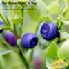 Gerbs Dried Blueberries 4 lbs. | Unsulfured, No Artificial Additives, Resealable Bag | Naturally Sweet & Tart | Top 14 Allergen-Free view 3