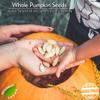 Pumpkin Seeds Raw in-Shell (Whole) by Gerbs - 4 LBS Premium Grade AA Pepitas - Top 10 Food Allergen Free - Vegan & Kosher - Seed Country of Origin USA - Made in Rhode Island view 4