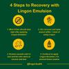 Lingon Emulsion - 1 15ML view 3