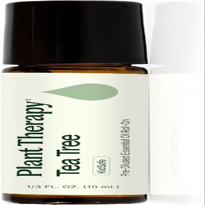 Plant Therapy Tea Tree Essential Oil 10mL (1/3 oz), 100% Pure, Pre-Diluted Roll-On, Natural Aromatherapy for Skin Blemishes and Immune Support