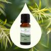 Plant Therapy Tea Tree Essential Oil 10mL (1/3 oz), 100% Pure, Pre-Diluted Roll-On, Natural Aromatherapy for Skin Blemishes and Immune Support view 2