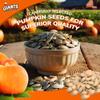 GIANTS Pumpkin Seeds - Pumpkin Seeds in Shell, Roasted and Salted, Whole with Shell, High Protein Snack with 15g Protein Per Serving - 5.15 oz view 3