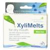 XYLIMELTS XYLIMELTS,MINT FREE, 60 CT view 1