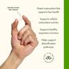Swanson NAC N-Acetyl Cysteine Antioxidant Liver Support & Amino Acids Supplement 600 mg 100 Capsules view 4