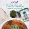Garden of Life Raw Organic Perfect Food Alkalizer and Detoxifier, Lemon Ginger Flavored Superfood Powder Supplement, 30 Servings view 4