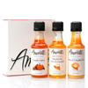 Amoretti Premium Syrups Pumpkin 3 Pack (50ml) view 1