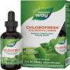 Natures Way Chlorofresh Chlorophyll Drops, Supports Detox Pathways*, Liquid Chlorophyllin Copper Complex, Supports Healthy Skin*, Internal Deodorant*, Mint Flavored, 2 Fl Oz (Packaging May Vary) view 1
