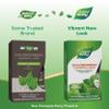 Natures Way Chlorofresh Chlorophyll Drops, Supports Detox Pathways*, Liquid Chlorophyllin Copper Complex, Supports Healthy Skin*, Internal Deodorant*, Mint Flavored, 2 Fl Oz (Packaging May Vary) view 2