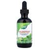 Natures Way Chlorofresh Chlorophyll Drops, Supports Detox Pathways*, Liquid Chlorophyllin Copper Complex, Supports Healthy Skin*, Internal Deodorant*, Mint Flavored, 2 Fl Oz (Packaging May Vary) view 4