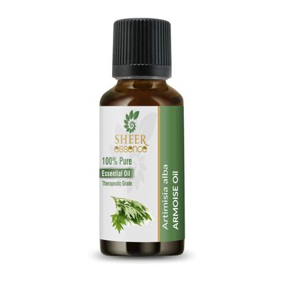 Armoise Oil -Steam Distillation 100% Pure Natural and Therapeutic Grade Essential Oil (Mugwort | Artemisia Alba) 0.50 Fl.Oz. (15 ML)