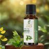 Armoise Oil -Steam Distillation 100% Pure Natural and Therapeutic Grade Essential Oil (Mugwort | Artemisia Alba) 0.50 Fl.Oz. (15 ML) view 2