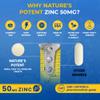 Zinc 50mg [High Potency] Supplement - Immune Support System from Natural Zinc (Oxide/Citrate) 100 Tablets, Made by Natures Potent. view 4