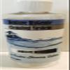 Denture Adhesive Remover view 1