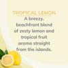 Citrus Magic Odor Eliminating Air Freshener Spray, Tropical Lemon, 3-Ounce, Pack of 3 view 4