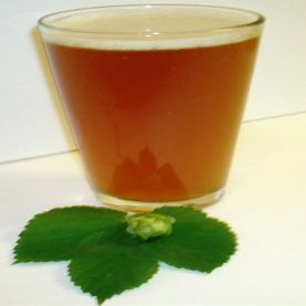 1 Gallon Beer Recipe (Fresh Hop Sour)