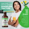 Dandelion Root Tincture Organic Dandelion Extract (Taraxacum Officinale) Health Supplement, Non-GMO in Cold-Pressed Organic Vegetable Glycerin 2 oz, 685 mg view 3