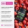 Super Greens Powder, 40+ Organic Superfoods, Probiotics & Enzymes for Energy, Digestion, Gut Health & Bloating | Organic Fruit & Veggie Drink Mix with Prebiotic Fiber, Daily Green Juice Smoothie Blend view 3
