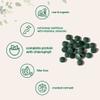 Organic Chlorella Tablets, 500mg Per Tablet, 720 Tabs (360 Grams), 4 Months Supply, Broken Cell Wall, Rich in Vegan Protein & Vitamins, No Filler, No Additives & Non-GMO | Pure Green Algae Superfood view 4