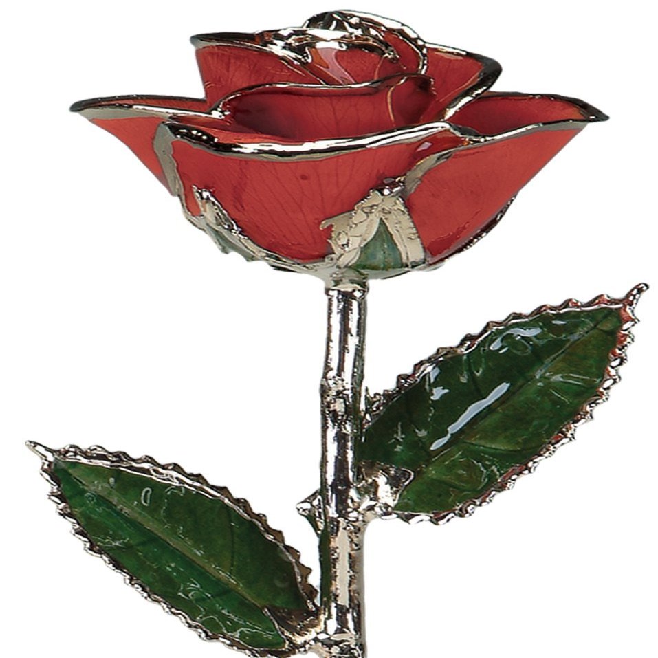 Allmygold 11 inch Laquered Red Rose with Platinum Trim