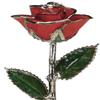 Allmygold 11 inch Laquered Red Rose with Platinum Trim view 1