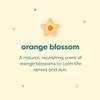 BabyGanics Baby Shampoo + Body Wash Pump Bottle, Orange Blossom, Tear-Free, 16 Fl Oz (Pack of 3), Packaging May Vary view 3