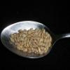 Hulled Barley 5 Pounds (dehulled) USDA Certified Organic Non-GMO Bulk, Product of USA, Mulberry Lane Farms view 3