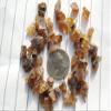Amber - Medium Chips no Powder - 100% Amber Life+Love! Heart Healing Health! med(4 Ounces (1/4 Pound)) view 2