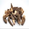 Slofoodgroup Dried Morel Mushrooms (Morchella Conica) Gourmet Morel Mushrooms (2 oz Dried Morels) view 4