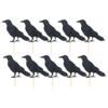 10pcs Halloween Crows Cupcake Toppers Raven Cake Topper Picks for Halloween Christmas Party Decoration view 1