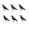 10pcs Halloween Crows Cupcake Toppers Raven Cake Topper Picks for Halloween Christmas Party Decoration view 2
