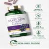 Carlyle Grape Seed Extract | 240 Capsules | Maximum Strength Standardized Extract | Non-GMO, Gluten Free view 4