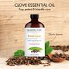Majestic Pure Essential Oil with Glass Dropper - 100% Pure and Natural - Essential Oils for Diffuser, Aromatherapy, Soap and Candle Making, Clove Essential Oil, Clove Oil, 4 Fl Oz view 3