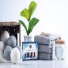 Woolzies Laundry Collection Essential Oil Set | 100% Pure Therapeutic Grade Aromatherapy Oil | Use with Wool Dryer Balls or Oil Diffuser | Gift Set Includes Pure Fresh, Still Breeze, Citrus Clean view 4