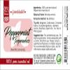 32 fl oz - Peppermint Essential Oil (Terpeneless) 100% Pure - Aluminum Bottle - GreenHealth view 3