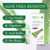 AloeCure USDA Organic Aloe Vera Juice Grape Flavor, Made Within 12 Hours of Harvest - Pure Aloe Vera Digestive & Immune Health Supplement, Helps Maintain Balanced Stomach Acidity, 16.7oz x 2 Btls view 2