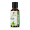 Bitter Gourd - (Momordica Charantia)- Carrier Oil 100% Pure Natural Undiluted Uncut Therapeutic Grade Oil 16.90 Fl.Oz view 1