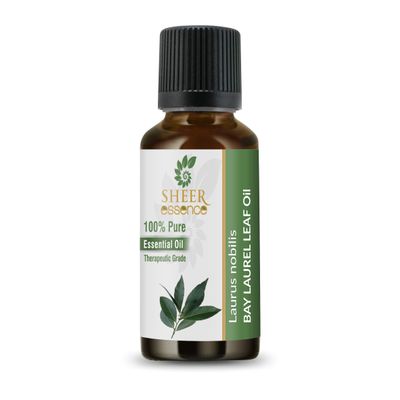 Bay Laurel Leaf Oil- (Laurus Nobilis)- Essential Oil 100% Pure Natural Undiluted Uncut Therapeutic Grade Oil 0.16 Fl. Oz.