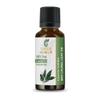 Bay Laurel Leaf Oil- (Laurus Nobilis)- Essential Oil 100% Pure Natural Undiluted Uncut Therapeutic Grade Oil 0.16 Fl. Oz. view 1