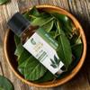 Bay Laurel Leaf Oil- (Laurus Nobilis)- Essential Oil 100% Pure Natural Undiluted Uncut Therapeutic Grade Oil 0.16 Fl. Oz. view 2