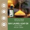 Bay Laurel Leaf Oil- (Laurus Nobilis)- Essential Oil 100% Pure Natural Undiluted Uncut Therapeutic Grade Oil 0.16 Fl. Oz. view 3
