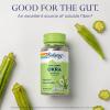 SOLARAY Okra Fruit 1600 mg - High Fiber Supplement for Wellness Support - Rich Source of Soluble Fiber - Equivalent of 6.4 g Fresh Okra per Serving, Vegan, 60-Day Guarantee - 25 Servings, 100 VegCaps view 3