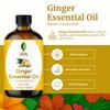 SVA Ginger Essential Oil  4 Fl Oz  100% Natural Ginger Oil - for Diffuser, Hair Care, Face, Skin Care, Aromatherapy, Scalp and Body Massage, Soap and Candle Making  with Dropper view 2
