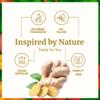 SVA Ginger Essential Oil  4 Fl Oz  100% Natural Ginger Oil - for Diffuser, Hair Care, Face, Skin Care, Aromatherapy, Scalp and Body Massage, Soap and Candle Making  with Dropper view 3